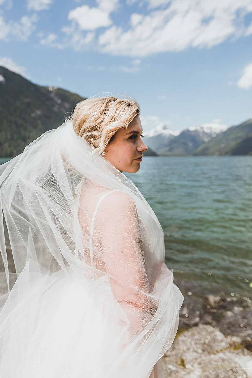 Simple BLUSH Wedding Veil | Single Tier OR 2 Tier| Soft Tulle Bridal Veil | Ready To Ship