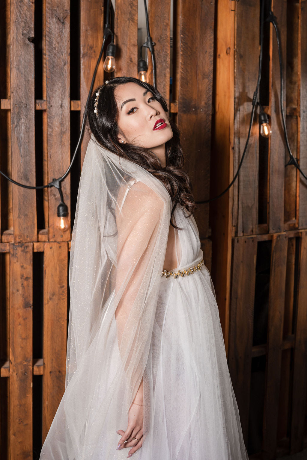 TAYLOR | Modern Glitter Veil | Gold or Silver Glitter | Single or 2 Tier Veil | Pink, Ivory, Off-White Veil