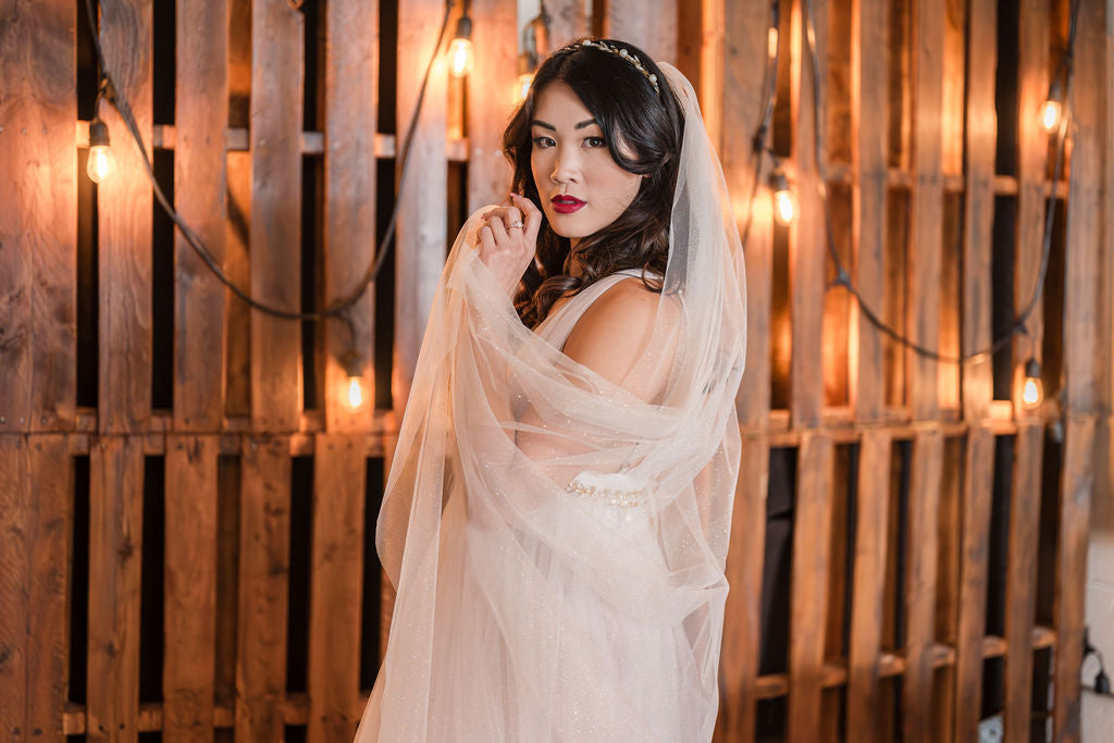 TAYLOR | Modern Glitter Veil | Gold or Silver Glitter | Single or 2 Tier Veil | Pink, Ivory, Off-White Veil
