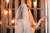 TAYLOR | Modern Glitter Veil | Gold or Silver Glitter | Single or 2 Tier Veil | Pink, Ivory, Off-White Veil