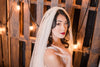 TAYLOR | Modern Glitter Veil | Gold or Silver Glitter | Single or 2 Tier Veil | Pink, Ivory, Off-White Veil