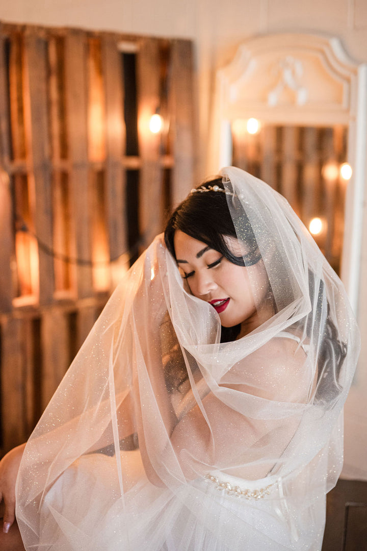 TAYLOR | Modern Glitter Veil | Gold or Silver Glitter | Single or 2 Tier Veil | Pink, Ivory, Off-White Veil