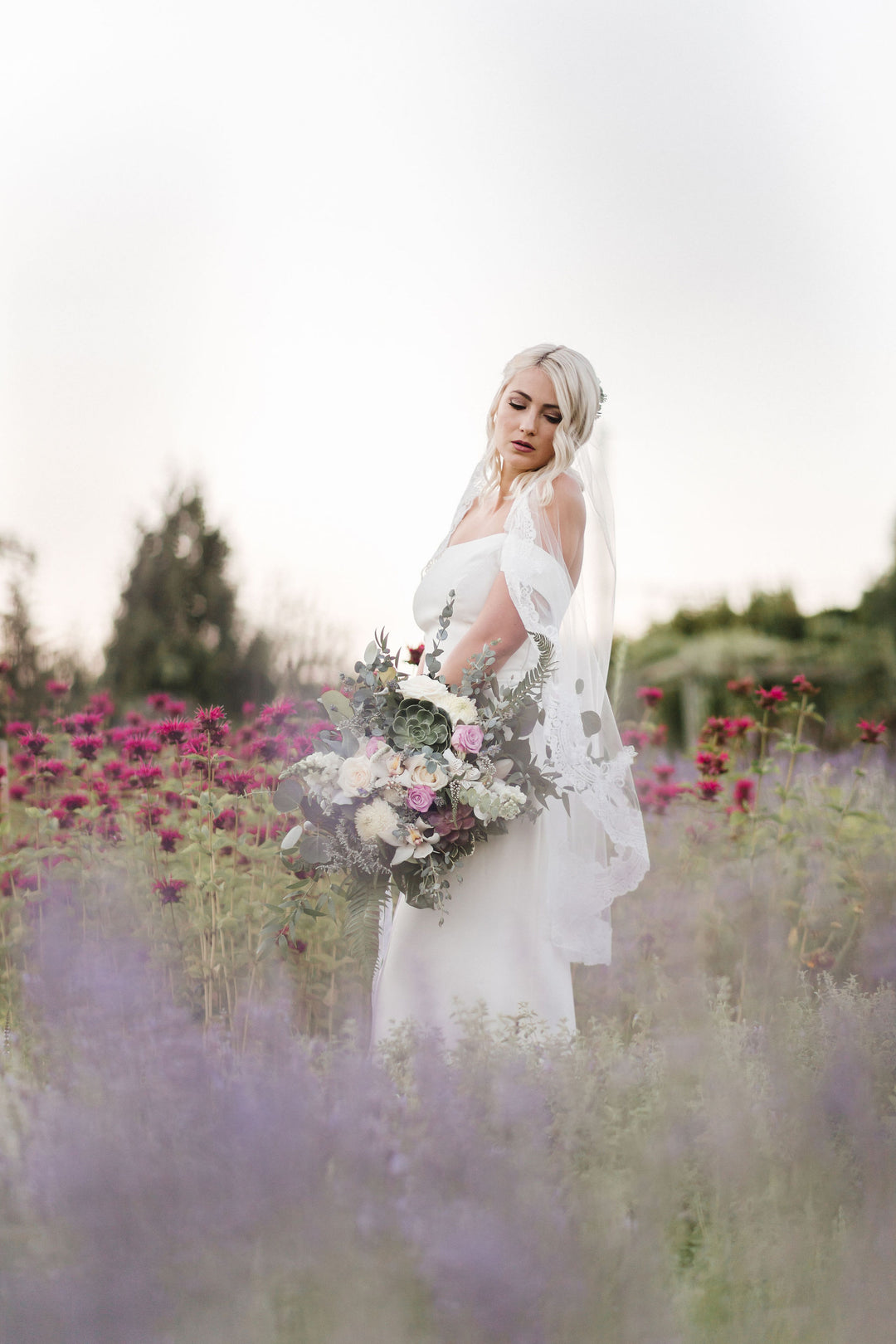 CASSANDRA Lace Wedding Veil | Wide Lace Trim | Various Lengths