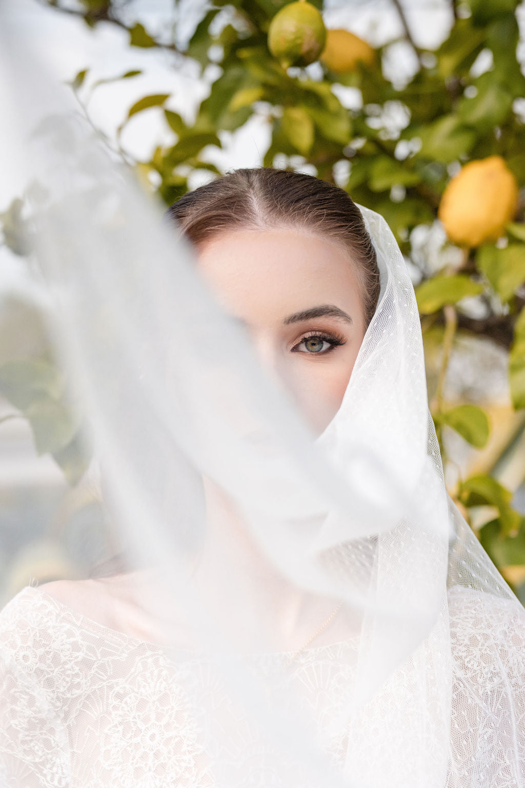 LINNEA | Swiss Dot Veil | Single Tier | Soft Modern Veil | Plain Rounded Edge | 2 Colors