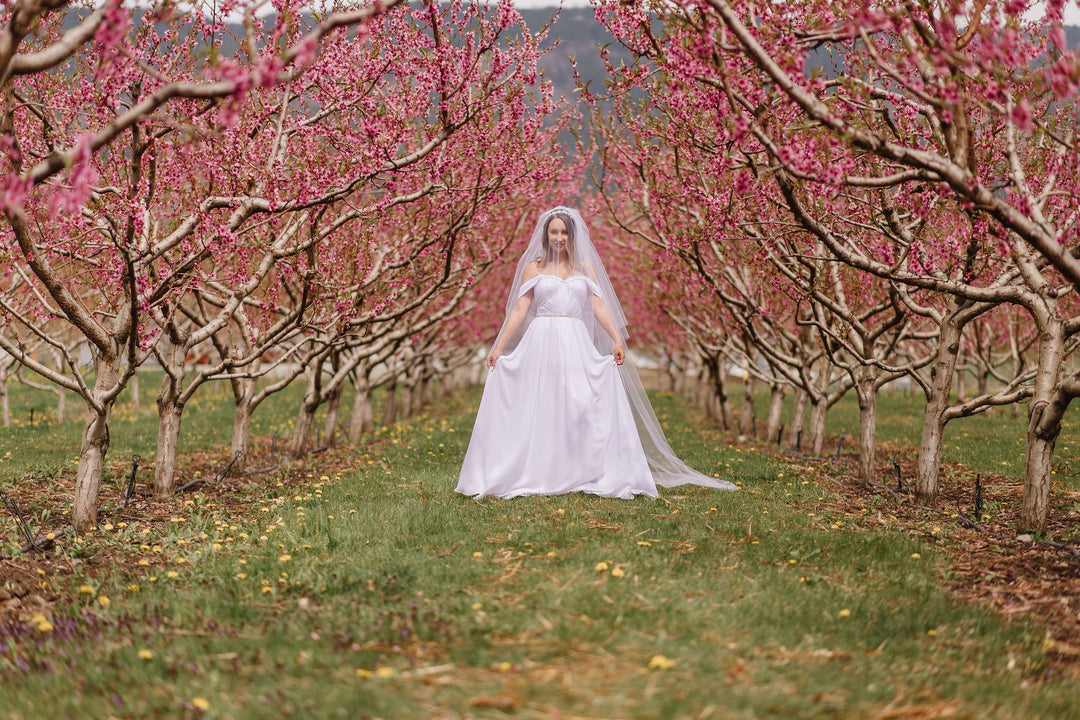 Royal Veil | Soft Veil | 2 Tier | Raw Edge | Blusher Veil | Modern Veil | Round Edge | Wide Veil | White, Light Ivory, Ivory