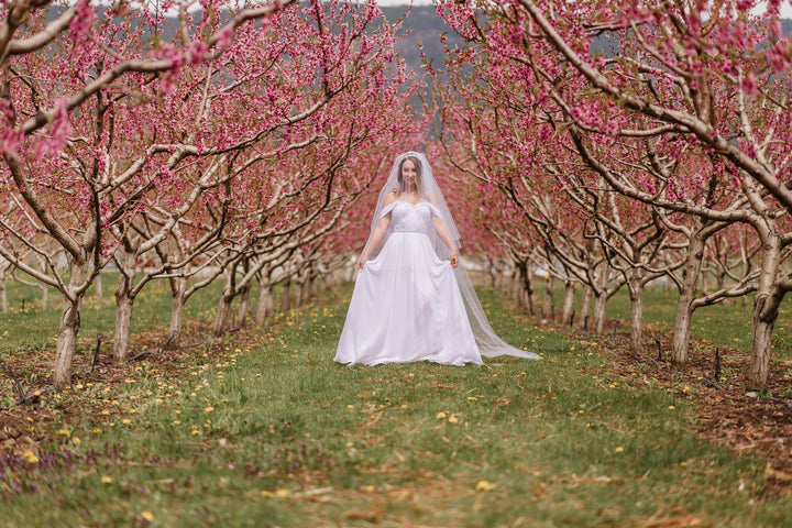 Royal Veil | Soft Veil | 2 Tier | Raw Edge | Blusher Veil | Modern Veil | Round Edge | Wide Veil | White, Light Ivory, Ivory