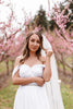 MADELINE | Dot Veil | Soft Modern Veil | Plain Rounded Edge | Light Ivory