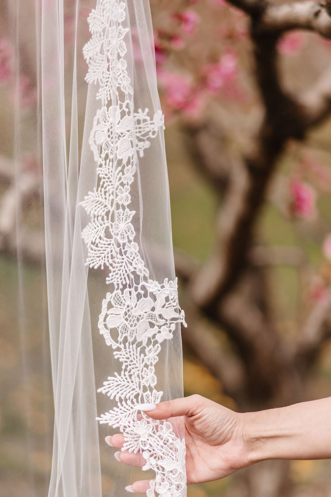 MABEL | Elegant Lace Veil | Soft Single Tier Veil | Light Ivory | Various Lengths