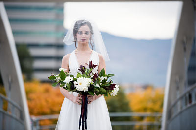 TALIA | Modern Veil | Tulle & Birdcage Veil